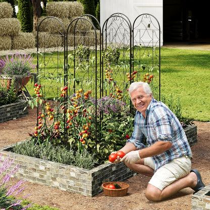 GarveeHome 2 Pack 74.8"H x 21.6"W Garden Trellises for Climbing Plants, Sturdy Plant Trellises with Black Metal Coating, Arched Outdoor Decoration for Patio Lawn, Roses, Vines, Flowers, and Vegetables