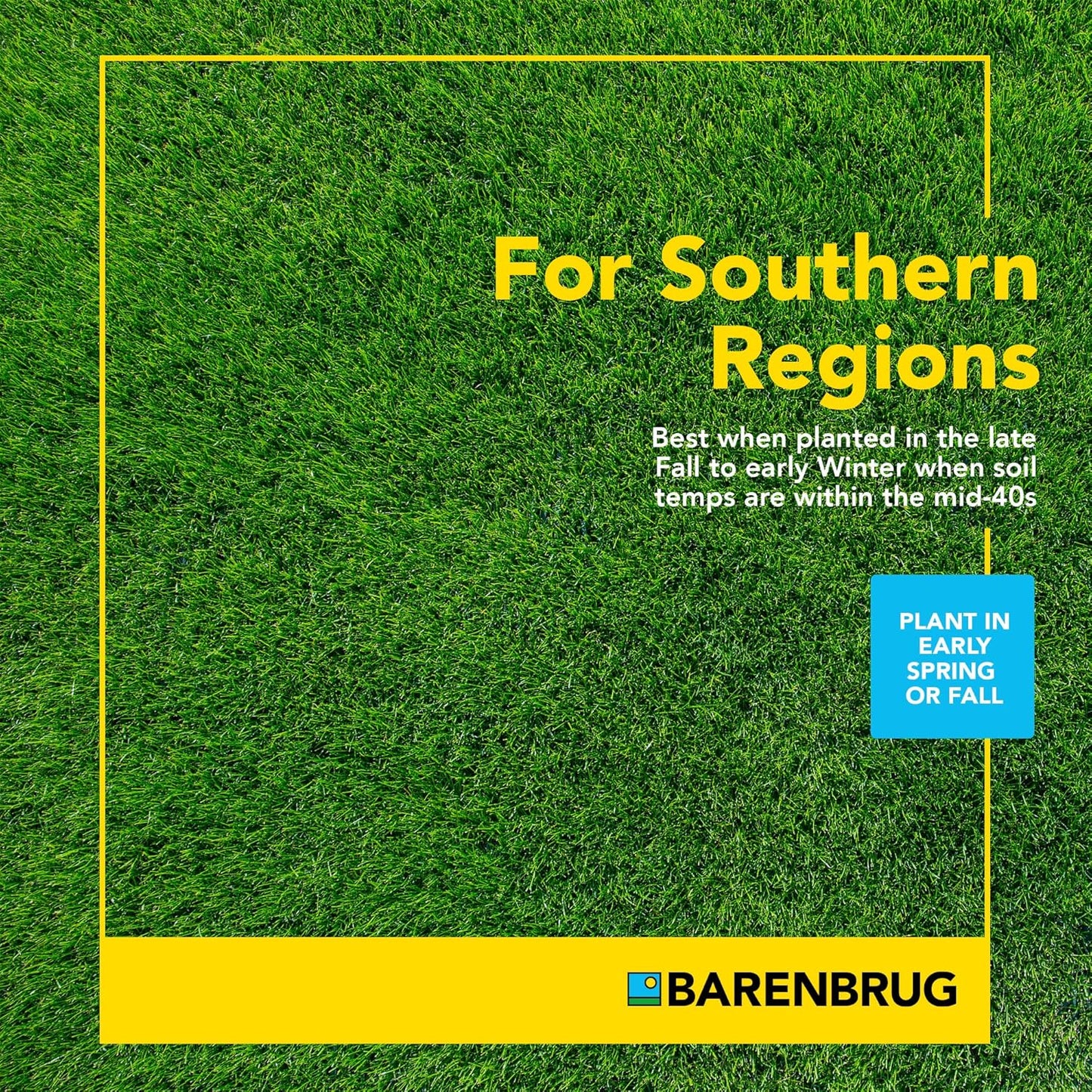 Barenbrug Wonderlawn Winter Grass Seed Mix for Lawn Care and Landscaping, 5 lbs. Bag