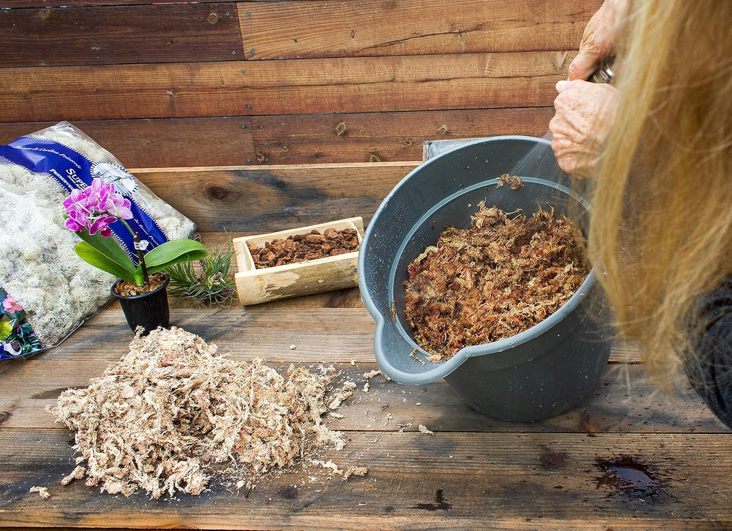 SuperMoss Orchid Sphagnum Moss and Tenax Hardware Net