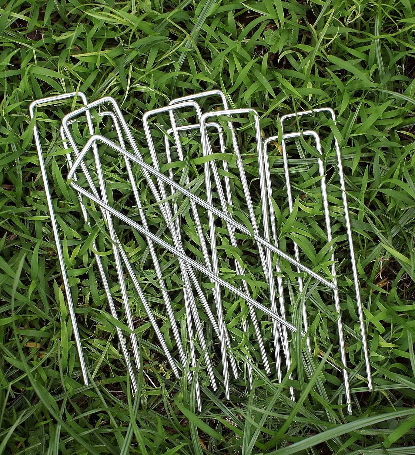 6 Inches Landscape Staples Galvanized Steel Garden Stakes Securing Pegs for Securing Weed Fabric Landscape Fabric Netting Ground Sheets and Fleece, Heavy Duty Metal Tent Stakes (200, Silver)