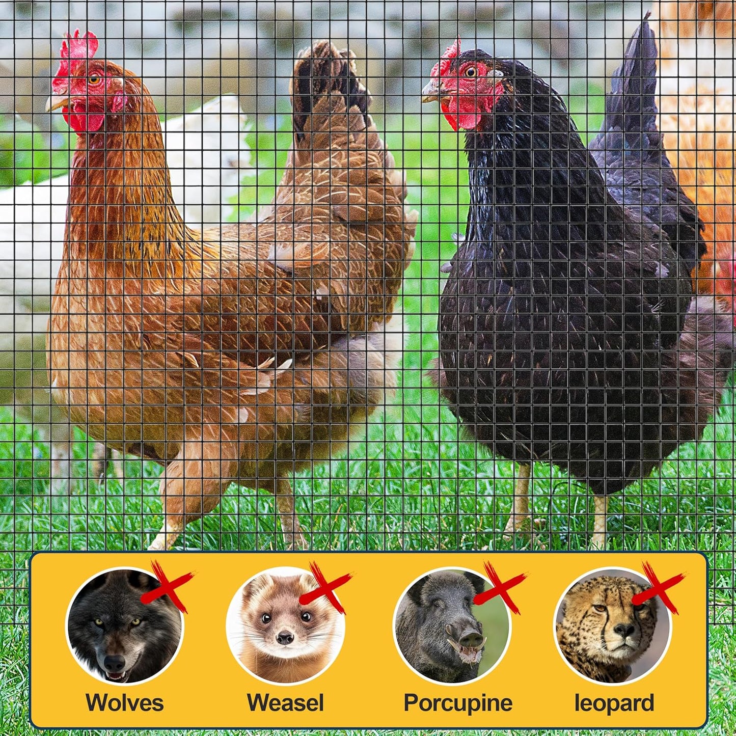 Sunnyglade Hardware Cloth, 1/2 Inch 48" x 100 ft Black Vinyl Metal Mesh Roll, 19 Gauges Chicken Wire Fence Roll, Welded Wire Fencing PVC Coated Wire Fence Rolls for Chicken Coop, Poultry (Black)