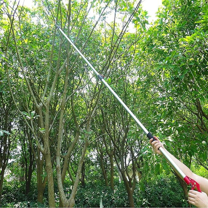 4.6-10 Foot Extendable Tree Pruner, Cut and Hold Pruning Trimmer, Long Reach Pole Saw, Telescoping Fruit Picker, Branches Bypass Lopper