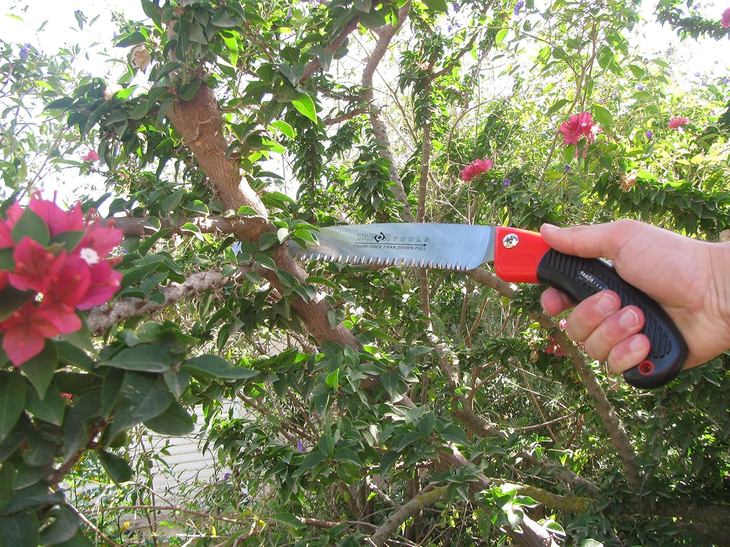 TABOR TOOLS Pruning Saw with Sheath, 10 Inch Hand Saw with Straight Blade and Holster, Suitable for Trimming Tree Branches and Clearing Forest Trails. TTS32A. (10 Inch, Straight Blade)