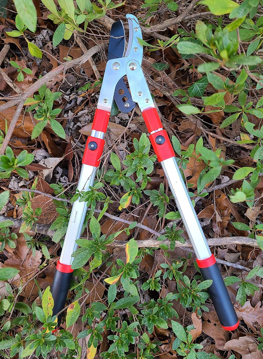 Anvil Lopper with Compound Action, Chops Thick Branches with Ease, 40 Inch Tree Trimmer, Branch Cutter with 2 Inch Clean Cut Capacity