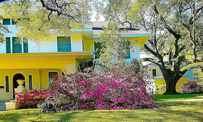 Nelson Azalea & All Acid Loving Plant Food Huge Blooms Jasmines Roses Camellias Gardenias NutriStar (25 lb.)